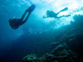 El Quseir scuba diving holiday - Red Sea